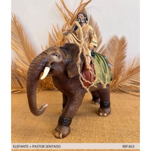 Pastor en elefante barro lienzado