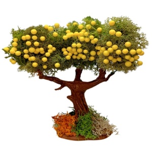 Arbol frutal limonero 12cm para el belén