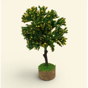Ciruelo amarillo 15cm