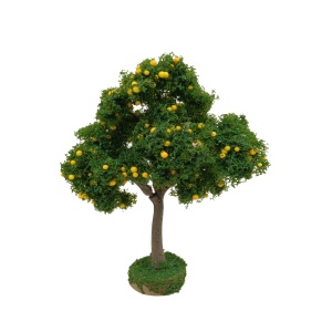 Árbol frutal limonero 12cm