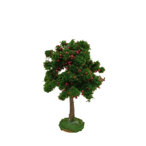 Árbol frutal manzano 12cm